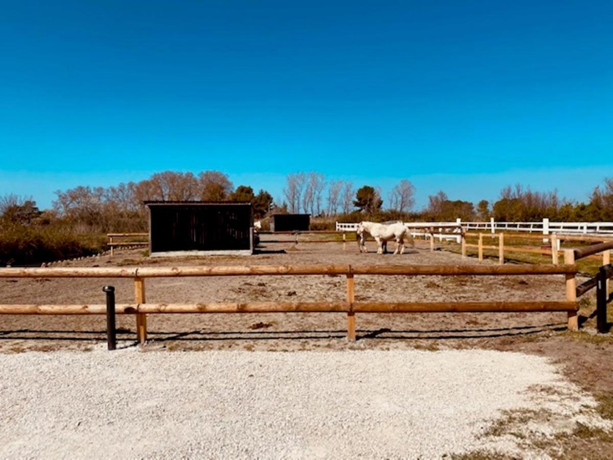 Gites Equestres Lou Caloun - Les Saintes Maries De La Mer Exteriör bild