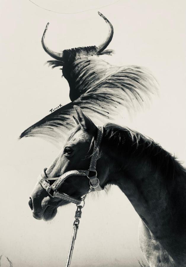 Gites Equestres Lou Caloun - Les Saintes Maries De La Mer Exteriör bild