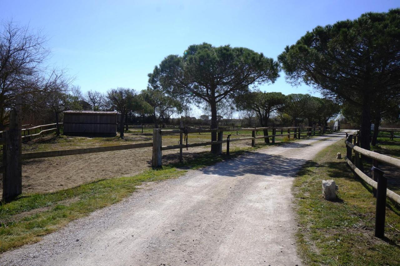 Gites Equestres Lou Caloun - Les Saintes Maries De La Mer Exteriör bild